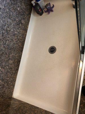 The Spotless Cleaning