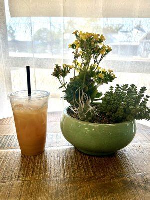 Irish breakfast iced tea latte with oat milk. YUM!