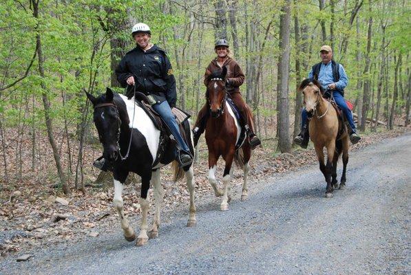 Bailey's Walking After Midnight Farm