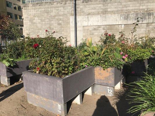 Each apt. gets a square ft. planter box to grow anything they want