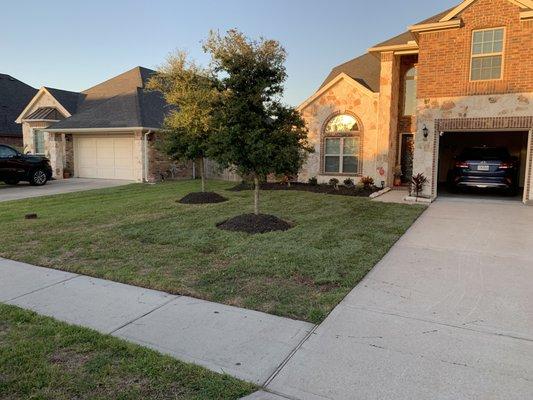 Joaquin’s Olvera Lawn Service and Landscaping