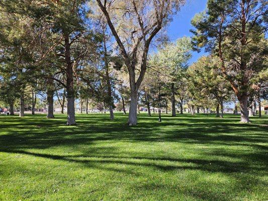 Big Orv's Playground