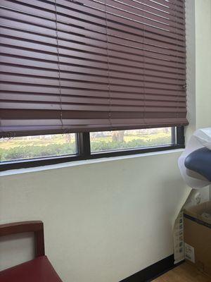 Primary Care Pediatrics