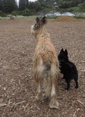 Bob in 2012 with a big friend