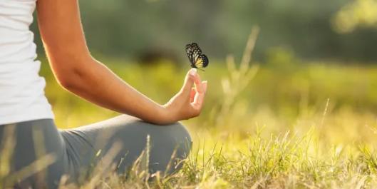 Embracing Functional Wellness