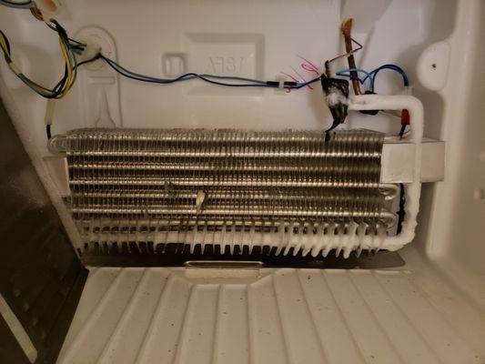 Cardinal Appliance Repair