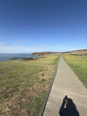 Paths2College Educational Consulting