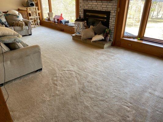 Amazing Cleaning Service