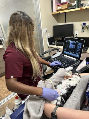 East Bay Sonovet Services