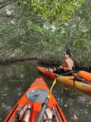 Kayaking through the mangroves