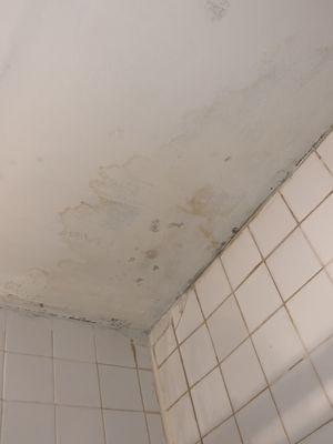 Austin Highland Development Company