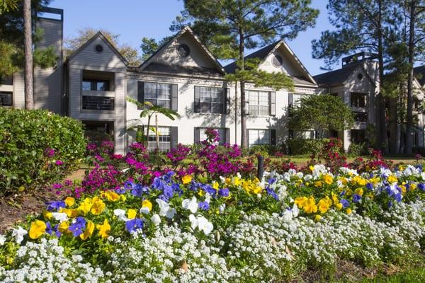 Beautiful Landscaping