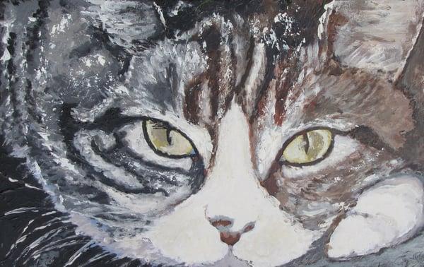 Shannon's Joyful Pet Sitting Services