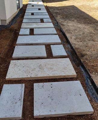 Capital Lawn and Pest