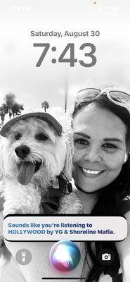 Hollywoof Dog Grooming