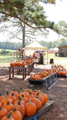 The Farm at Rocky Top