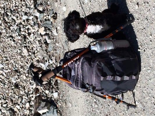 Heather Pearman, MFT