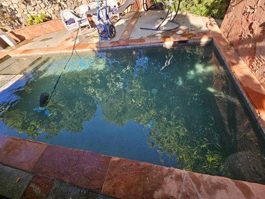 Golden West Pool and Spa