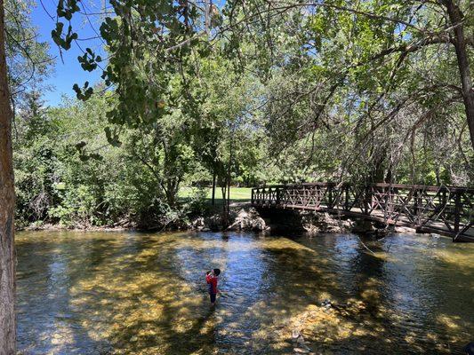 Paul Ream Wilderness Park