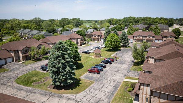 Doctors of Landscaping