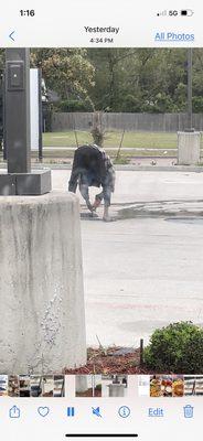 Man over the manhole