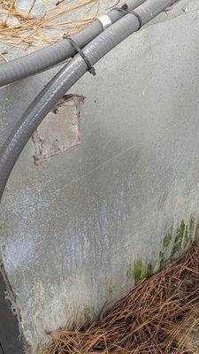 Been long enough that green mold is starting to grow on the side of the housing.