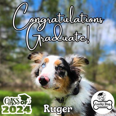 Lucky Dog K9 Academy