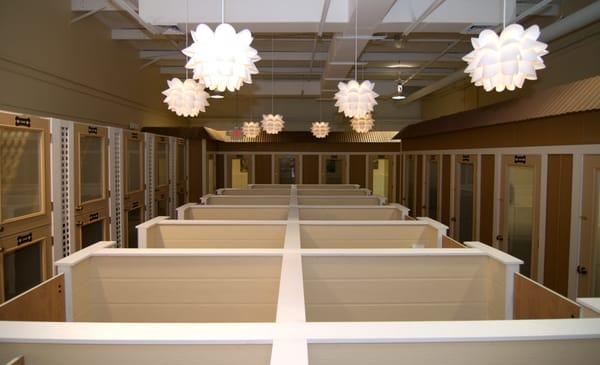 Pawsh Pet Resort & Spa