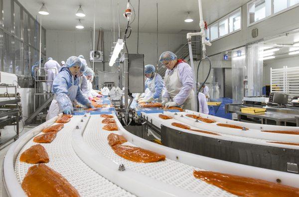 MB Commercial Photography