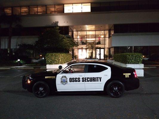 Osgs Security Agency