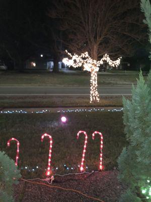 C & O Transmission Service