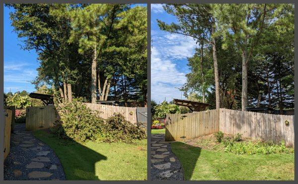 Chavez Tree Service