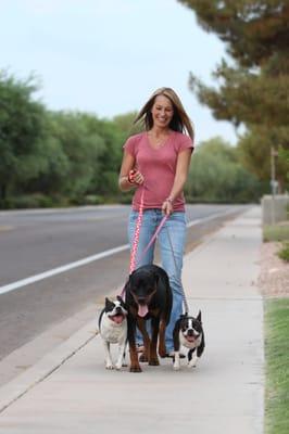 This Little Doggie Stayed Home