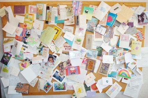 Schatz Real Estate Group