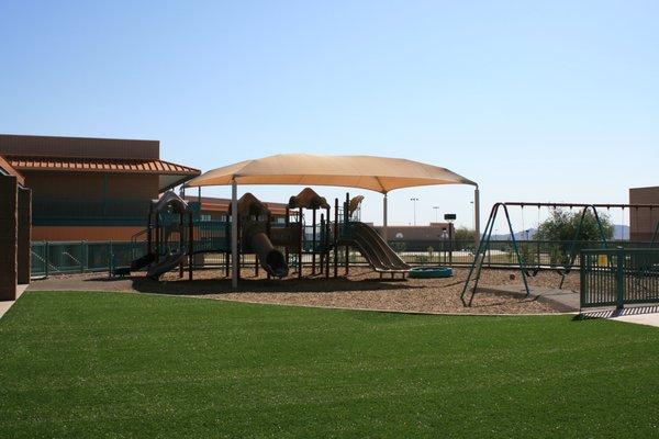 The Synthetic Grass Store