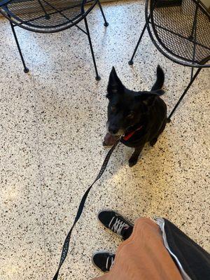 Covington Veterinary Clinic PC