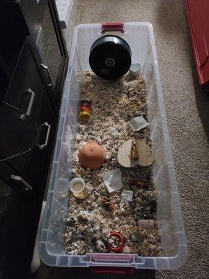 Over 4 foot in length habitat for one hamster
