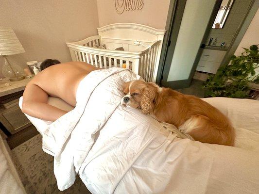 Zenergy Wellness Massage