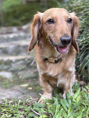 East-West Center Japanese Garden