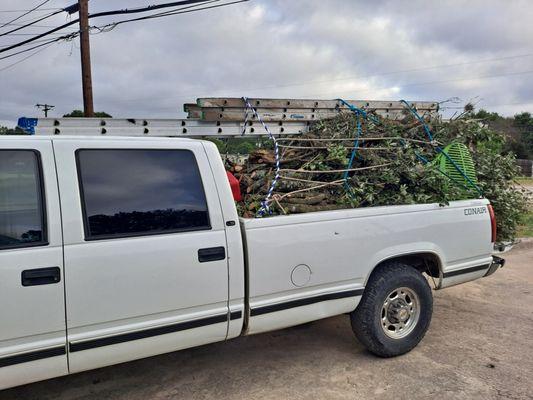 Tree Service Atx
