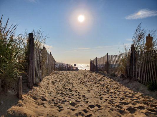 Steven W. Falcone CPA