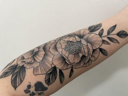 Black Sheep Tattoo Parlor