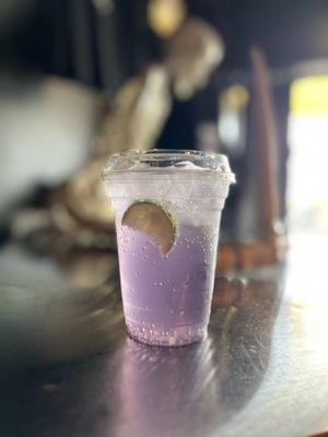 Darkbloom Coffee Company