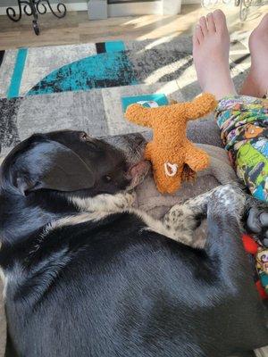 Cedar Bend Humane Society