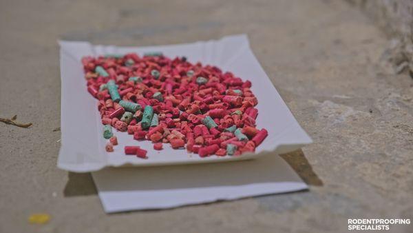 RodentProofing Specialists