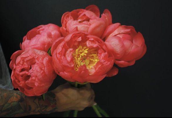 Atelier Belladonna Flower Shop