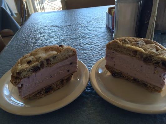 The most amazing ice cream sandwich, homemade cookies & huckleberry ice cream. It's HUGE!