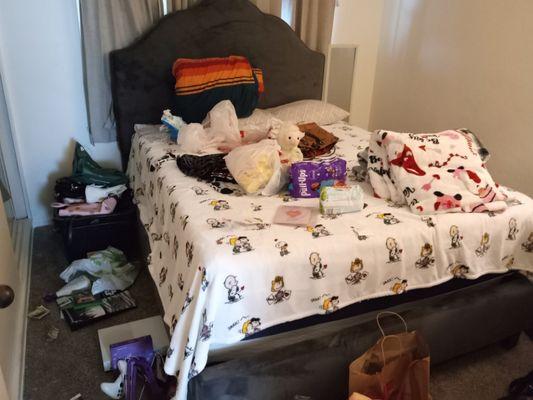 Rosys Nook And Cranny Cleaning and Organization SVC