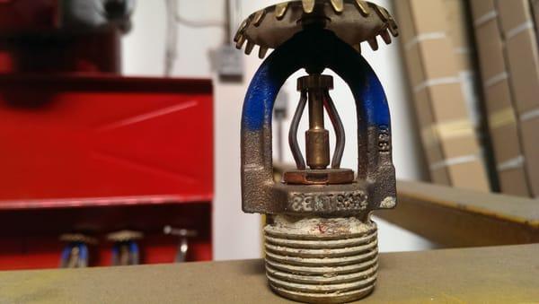 High Piled Storage upright oriented high temperature sprinkler head. The blue means it is high temperature.