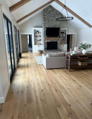 Project Build Construction and Interiors